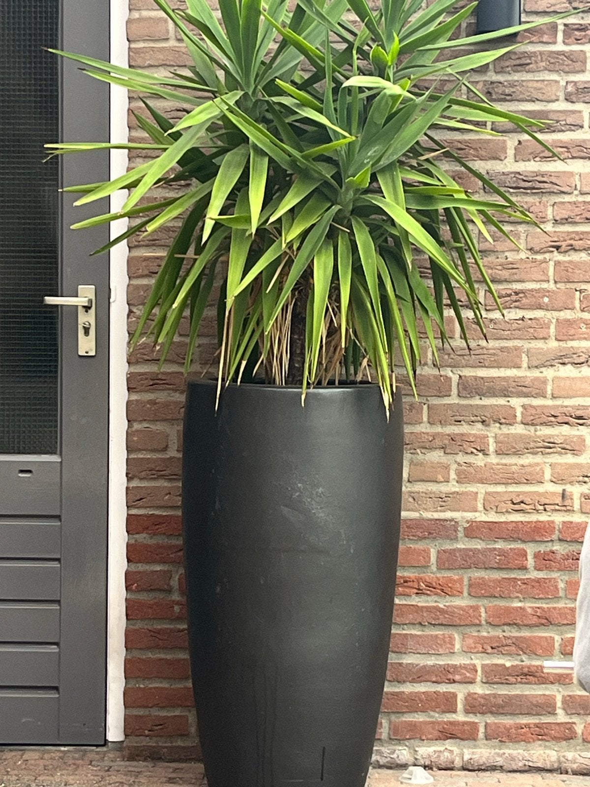 Hoge, zware matzwarte sierpot van steengoed, Ophalen, Gebruikt, 40 cm of meer, Binnen
