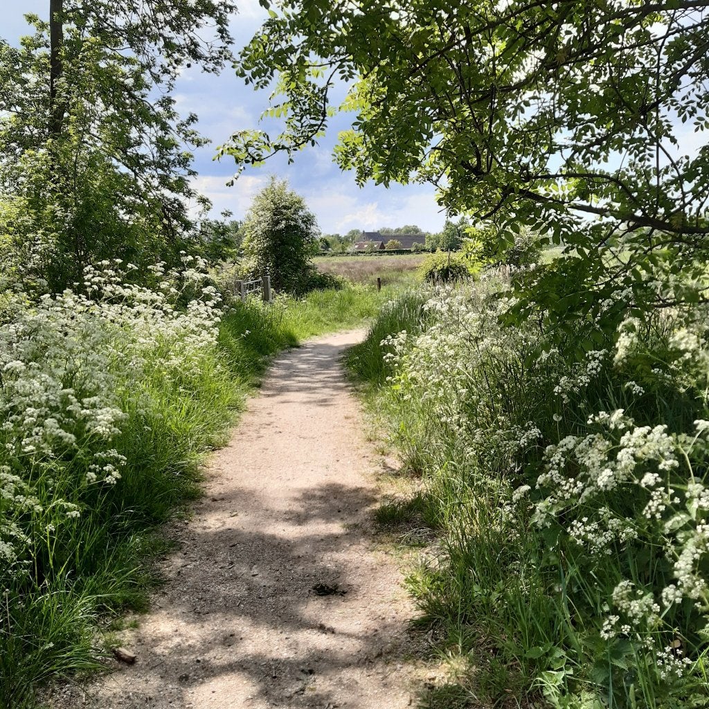 WandelMaatje
