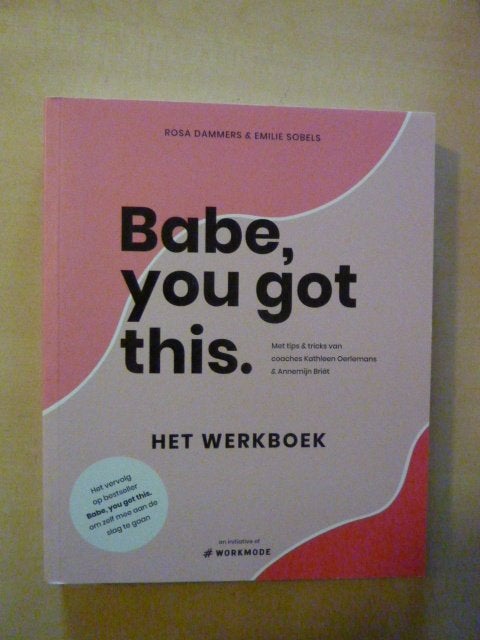 Dammers & Sobels - Babe, you got this werkboek, Verzenden, Zo goed als nieuw
