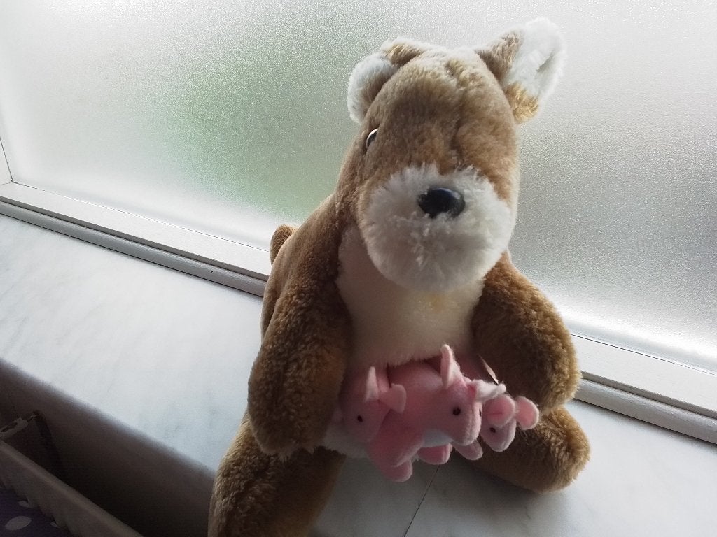 Kangoeroe en vliegende vogel knuffel, Kinderen en Baby's, Ophalen of Verzenden, Nieuw, Overige typen