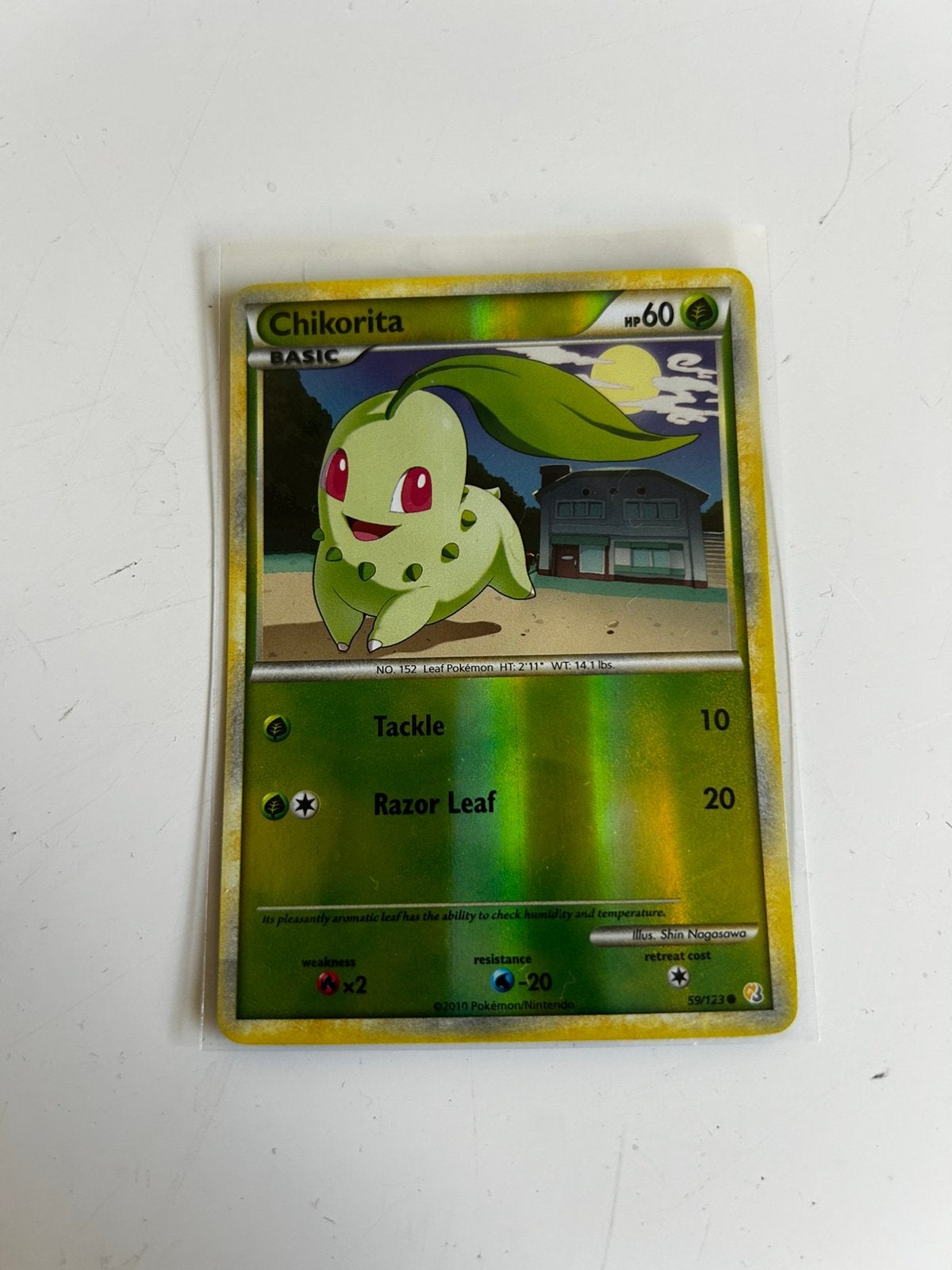 Pokemonkaart Chikorita reverse Holo, Ophalen of Verzenden, Nieuw, Losse kaart