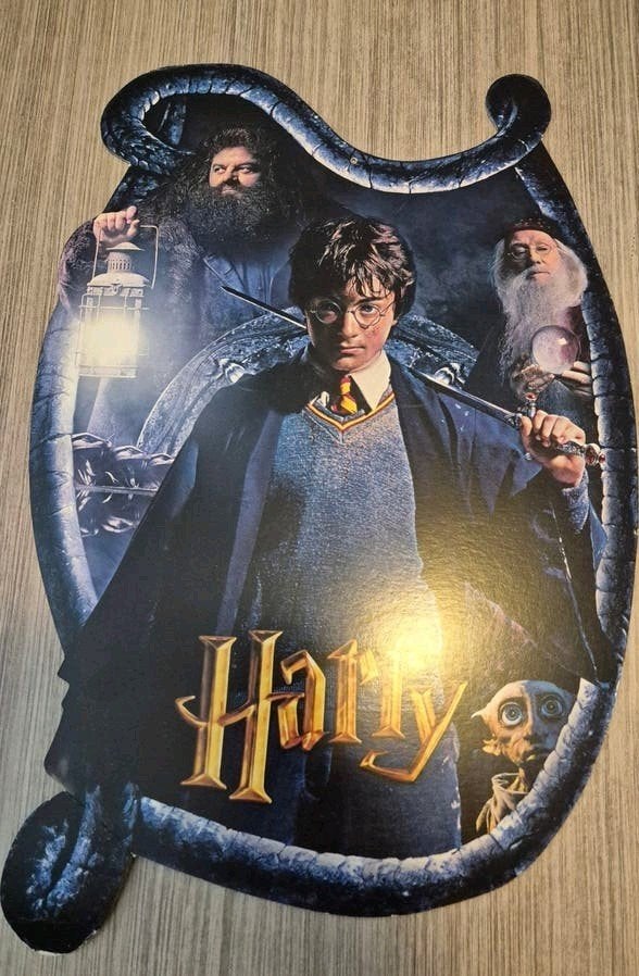 Harry Potter en de Geheime Kamer, Ophalen of Verzenden, Gebruikt, Boek of Poster