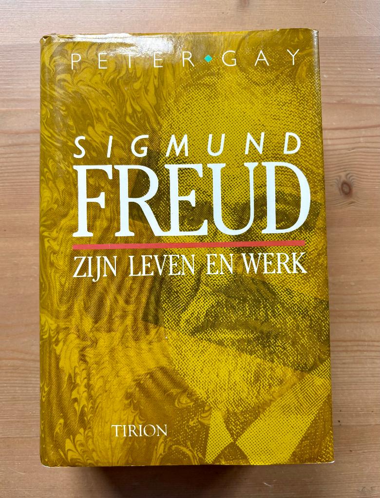 Peter Gay, Sigmund Freud: zijn leven en werk (1989), Gelezen, Ophalen of Verzenden, Peter Gay, Overige onderwerpen
