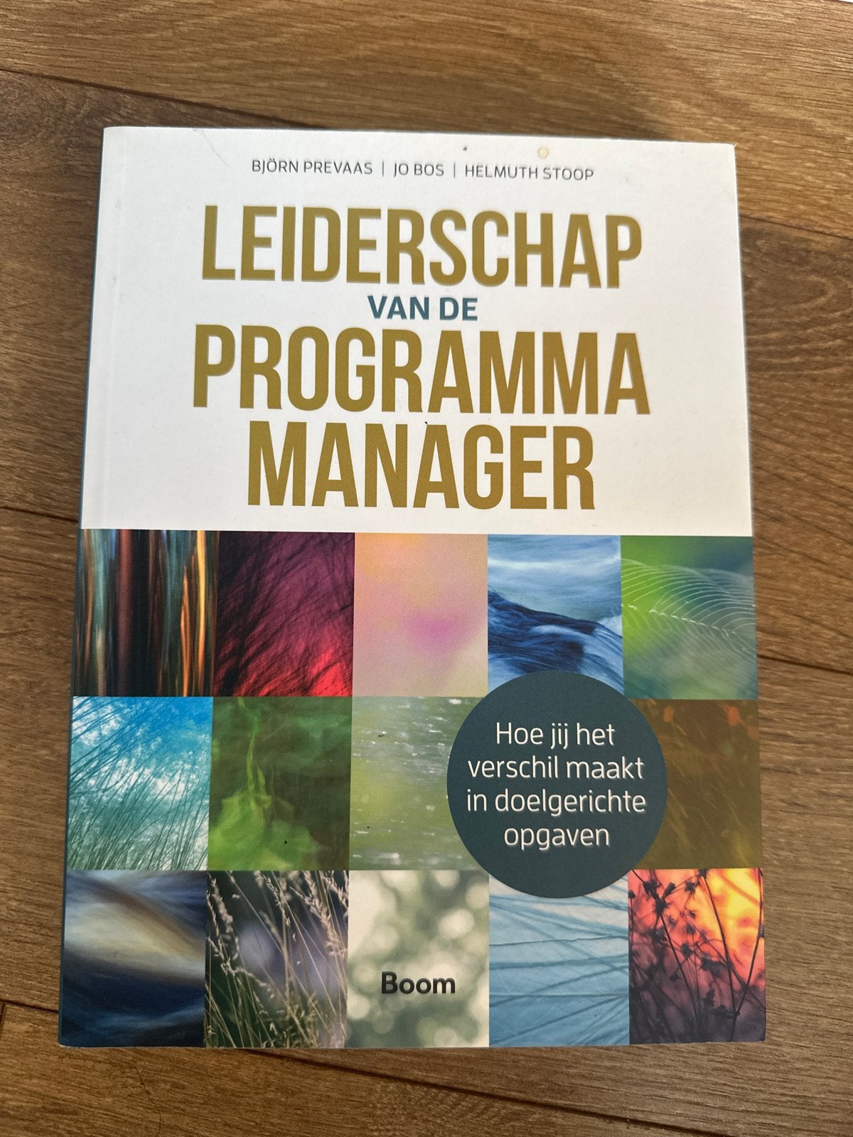 Leiderschap van de Programmamanager - Björn Prevaas e.a., Ophalen of Verzenden, Zo goed als nieuw, Management
