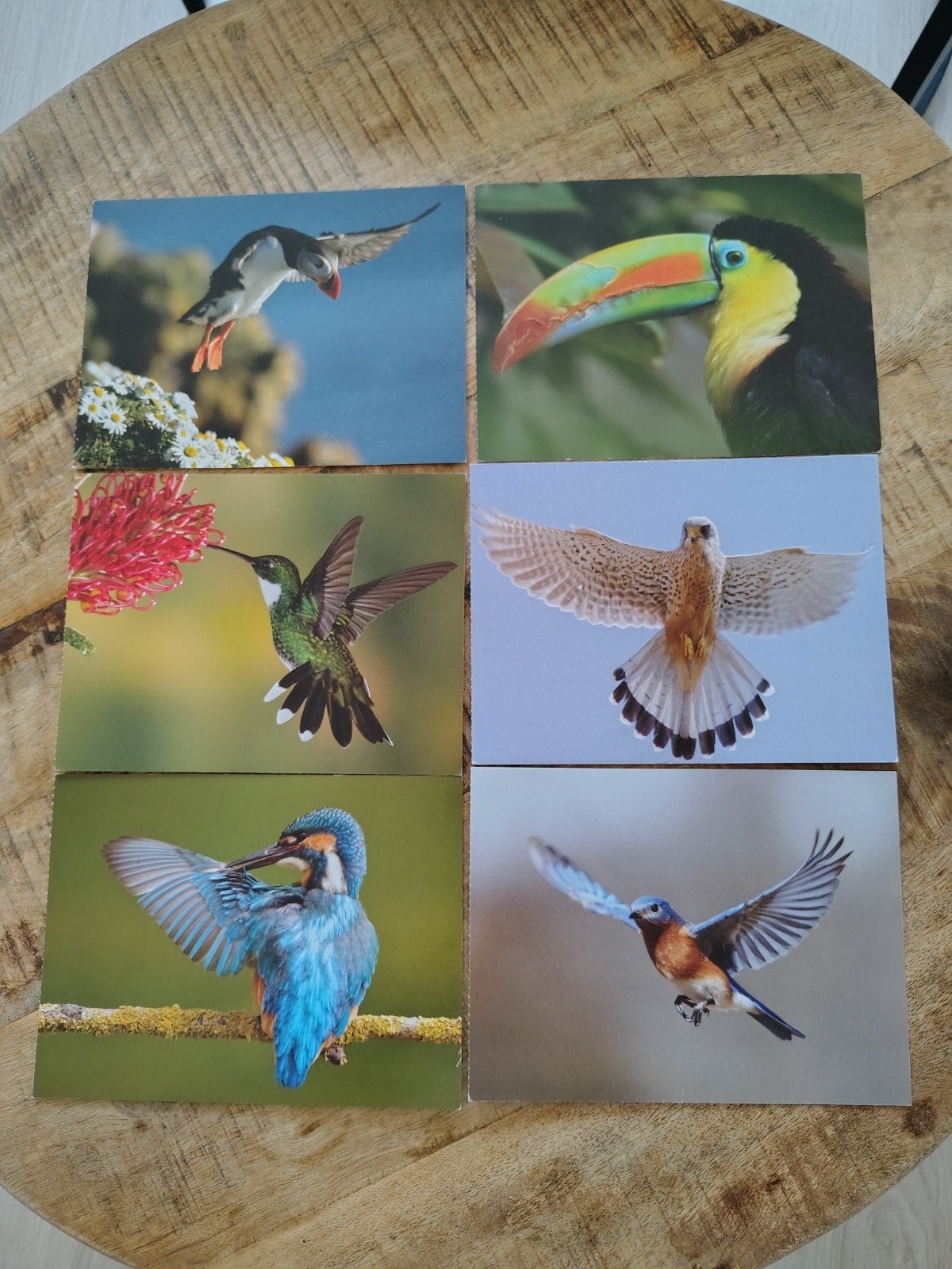 Diverse Ansichtkaarten: Dieren en Natuur (1980-heden), Ophalen of Verzenden, 1980 tot heden, Ongelopen