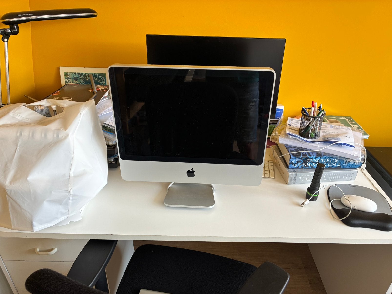 Imac 20 inch, Computers en Software, Apple Desktops, Ophalen, Gebruikt, IMac