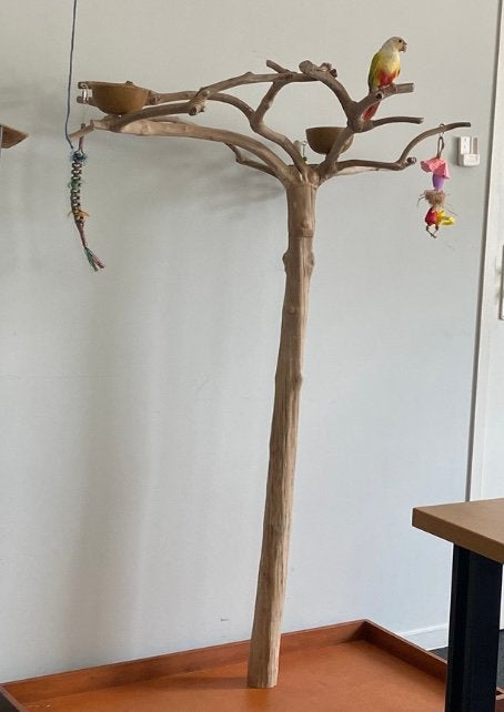 Javaboom / speelboom, Dieren en Toebehoren, Ophalen, Zo goed als nieuw