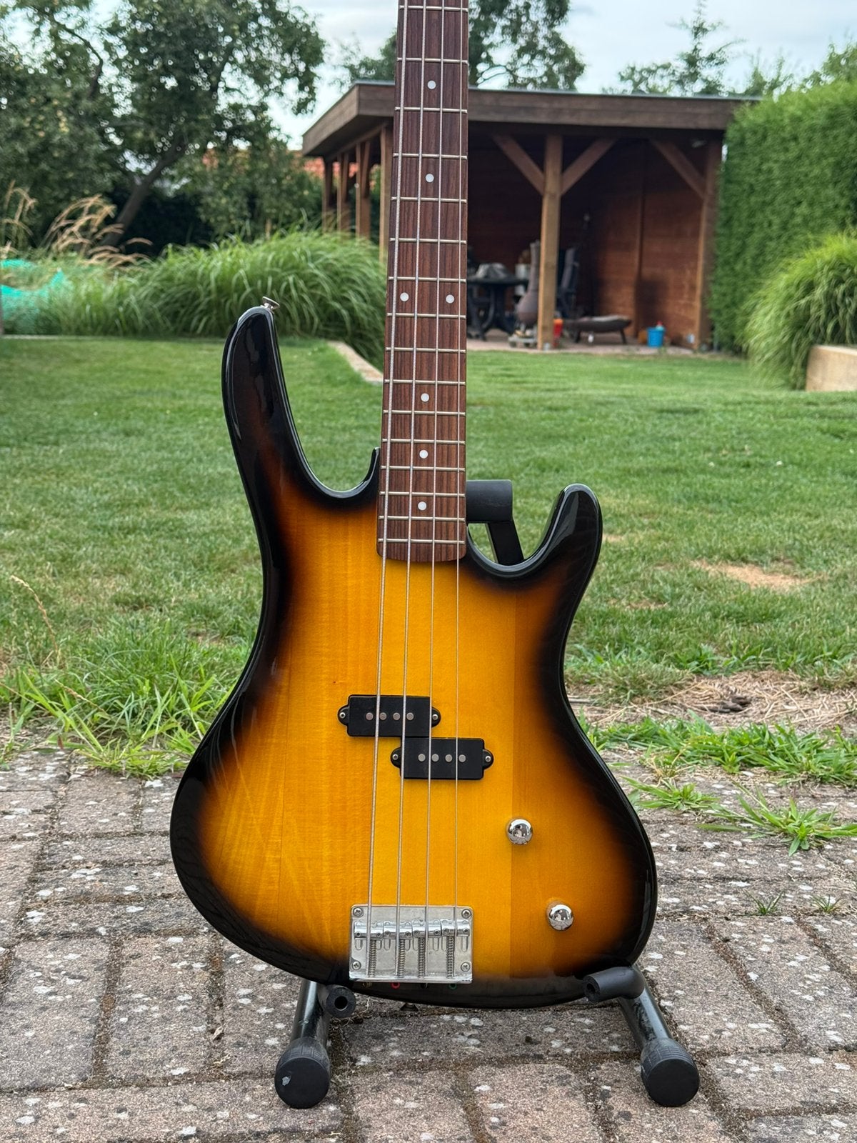 Washburn basgitaar, Muziek en Instrumenten, Snaarinstrumenten | Gitaren | Bas, Ophalen, Gebruikt, Elektrisch