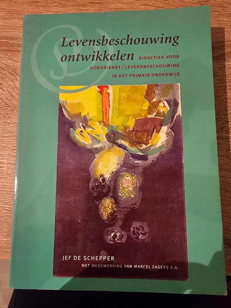 J. De Schepper - Levensbeschouwing ontwikkelen, Ophalen of Verzenden, Nederlands, Overige niveaus, J. De Schepper