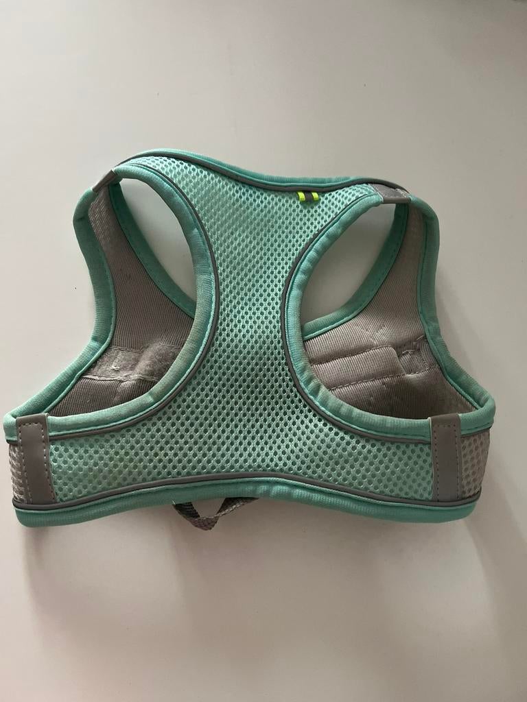 Hondentuigje met riem mintgroen mesh, Ophalen of Verzenden, Gebruikt, Hondenriem
