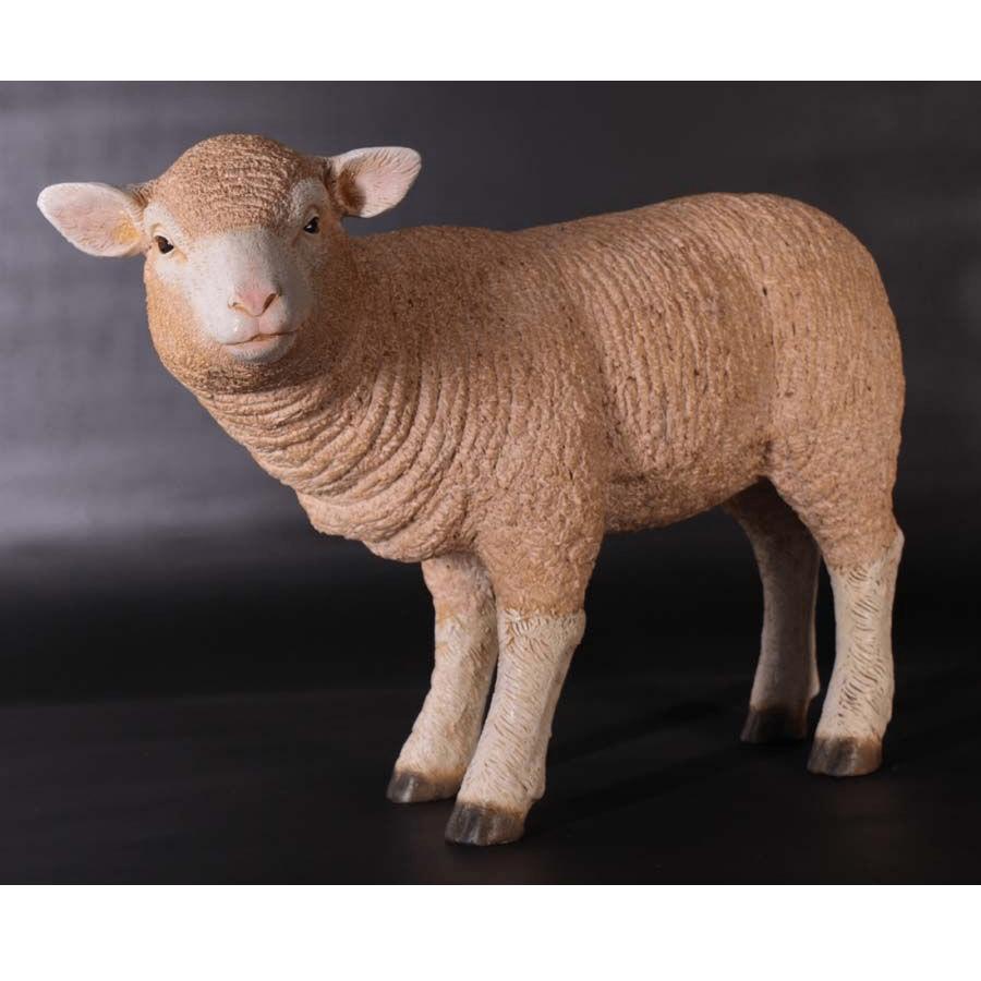 Standing Merino Lam – Schaap Lengte 62 cm, Ophalen, Nieuw, Overige typen