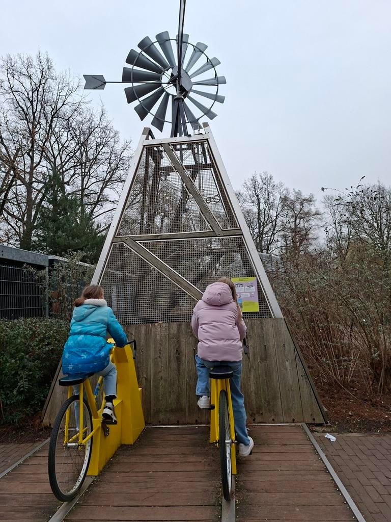Gastouder, Ophalen