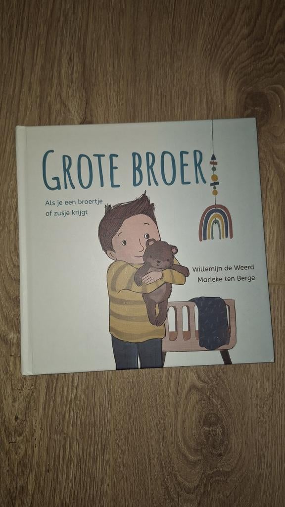 Grote Broer - Willemijn de Weerd & Marieke ten Berge, Boeken, Ophalen of Verzenden