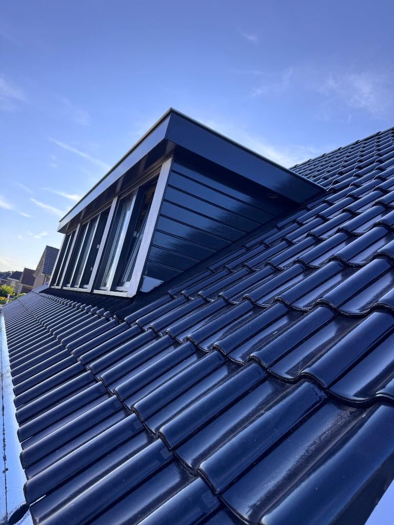 Röben Dakpannen (zwart) - NIEUW - Nagenoeg hele pallet, Ophalen, 10 tot 15 m², Steen of Klei, Zwart