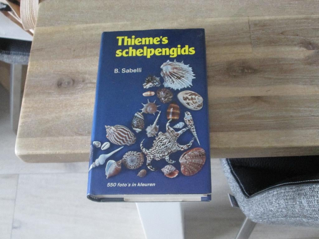 Thieme's schelpengids door B. Sabelli, Ophalen of Verzenden, Nieuw