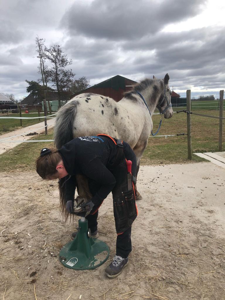 Natuurlijk/barefoot pony bekapper (Gr,Dr,Fr)
