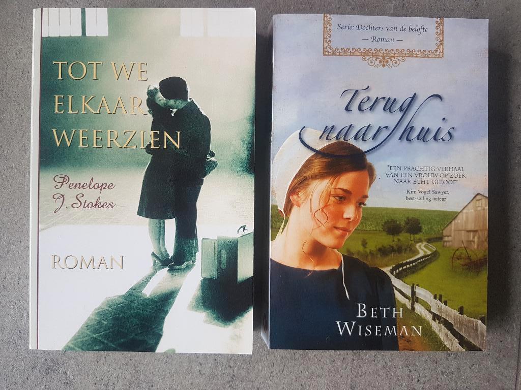 Christelijke Romans, Boeken, Ophalen of Verzenden, Zo goed als nieuw, Zie beschrijving, Amerika