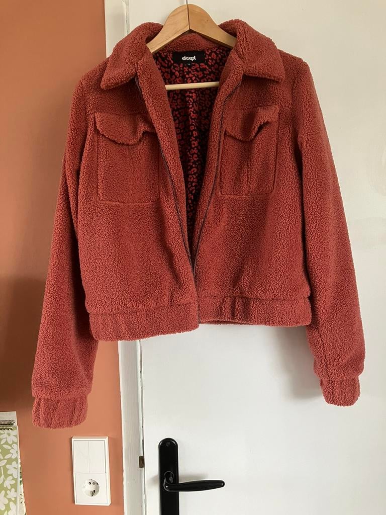 Teddy bont jasje winter voorjaar roze, Kleding | Dames, Jassen | Winter, Ophalen of Verzenden, Zo goed als nieuw, Maat 38/40 (M)