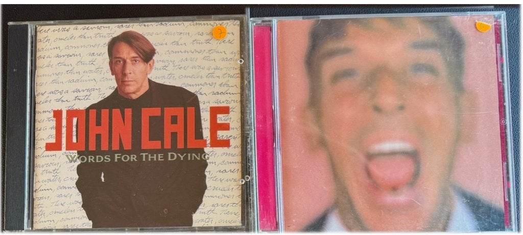 2x John Cale (CD), Cd's en Dvd's, Cd's | Rock, Ophalen of Verzenden, Gebruikt, Poprock, Inclusief doosje