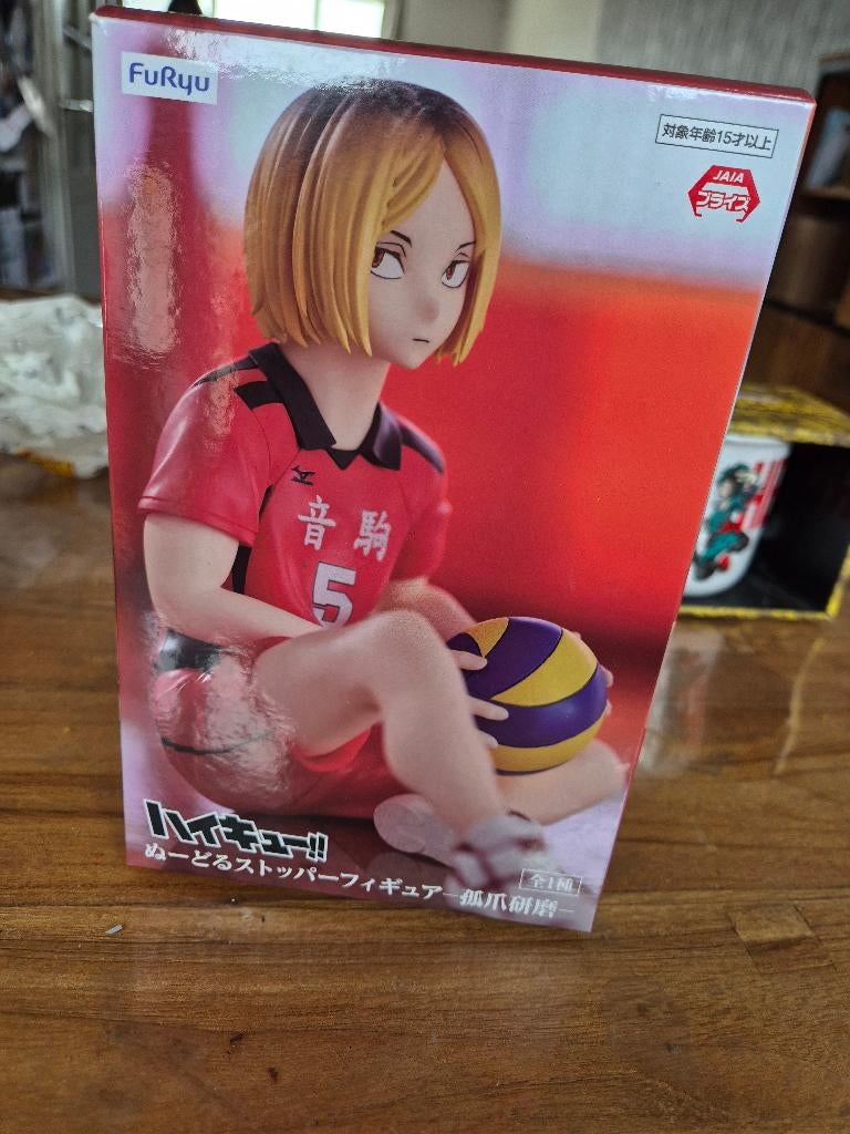 Kenma Kozume beeld, Ophalen, Nieuw, Fantasy