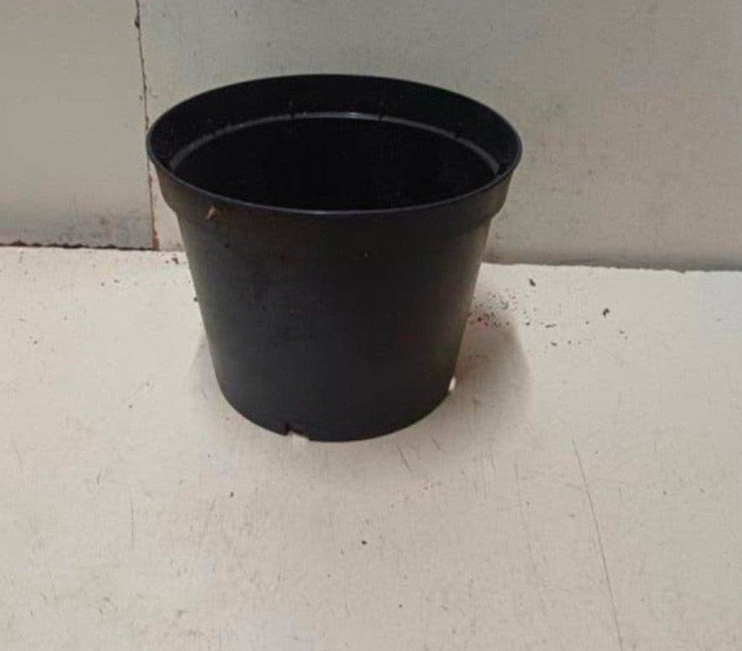 kweekpotten plantenpotten bloempotten 1,5 liter, Tuin en Terras, Kunststof, Gebruikt, Rond, Ophalen of Verzenden