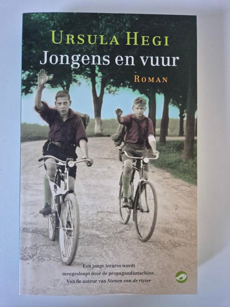 Ursula Hegi - Jongens en vuur, Ophalen of Verzenden, Zo goed als nieuw, Ursula Hegi
