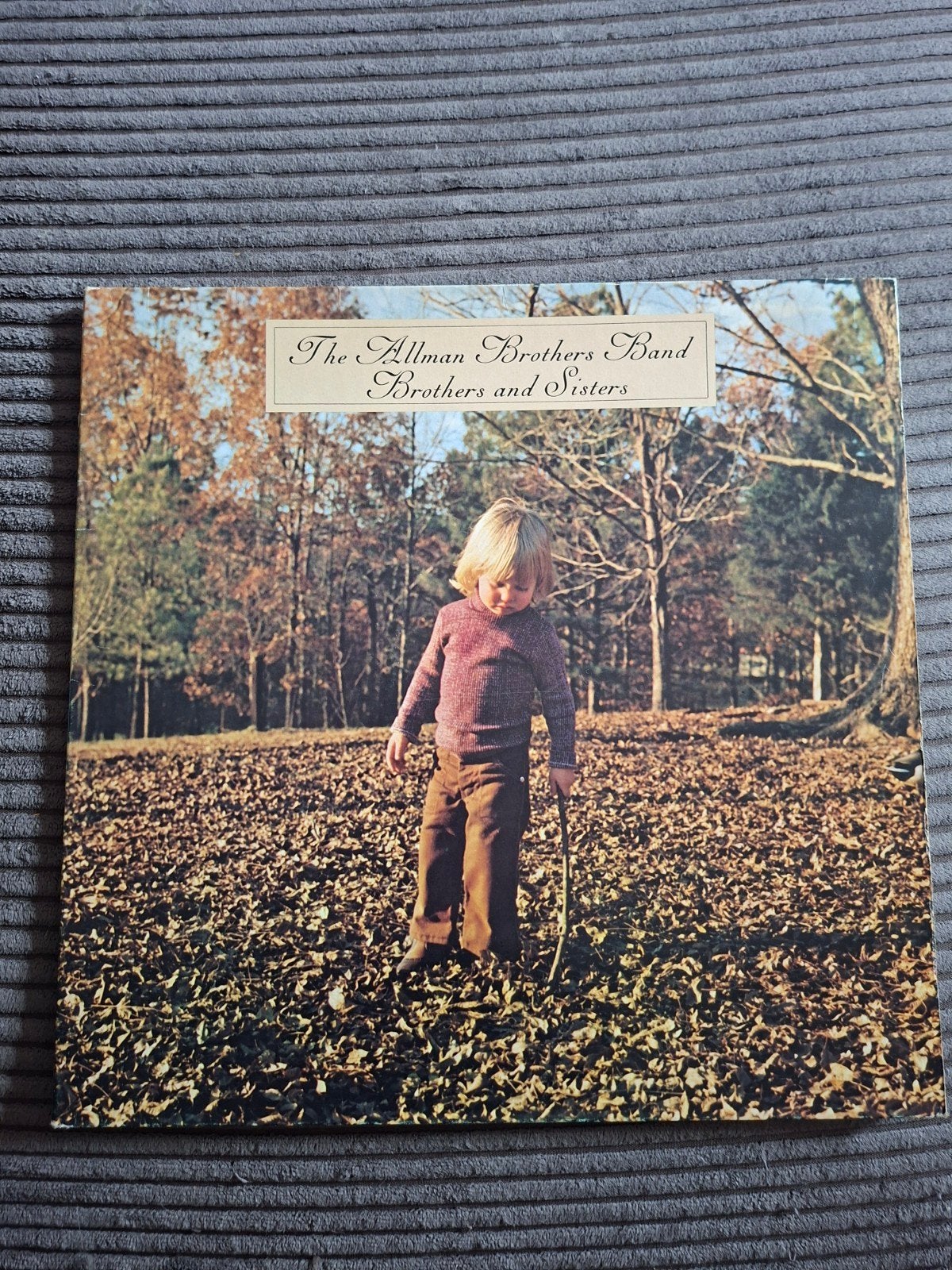 The Allman Brothers Band - Brothers and Sisters LP (1973), Ophalen, LP, Gebruikt, Originele persing