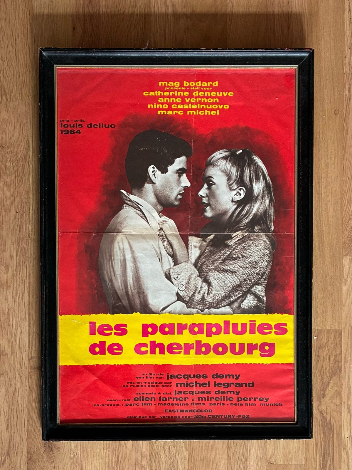 Ingelijste Franse Vintage Film Affiche Le Parapluies, Ophalen, Gebruikt