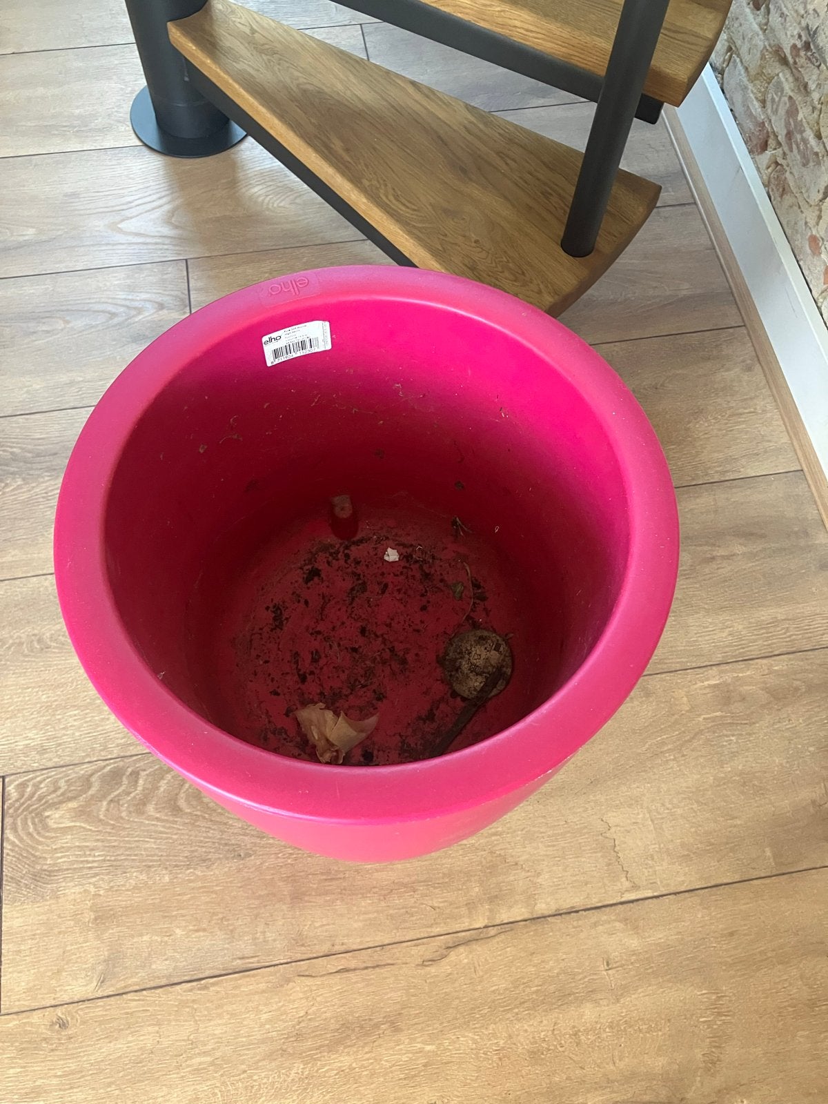 Elho Pure Bloempot Fuchsia 70 cm, Kunststof, Gebruikt, Minder dan 60 cm, Rond