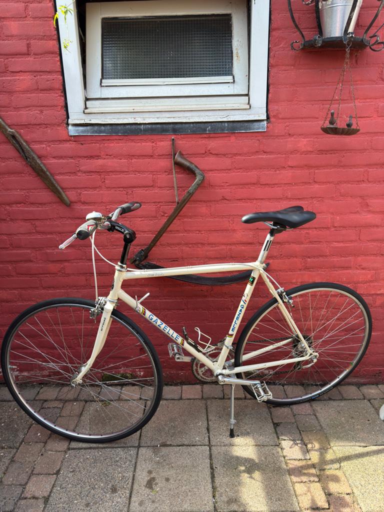 Gazelle Trim Trophy, Ophalen, Gebruikt, 26 inch, 10 tot 15 versnellingen