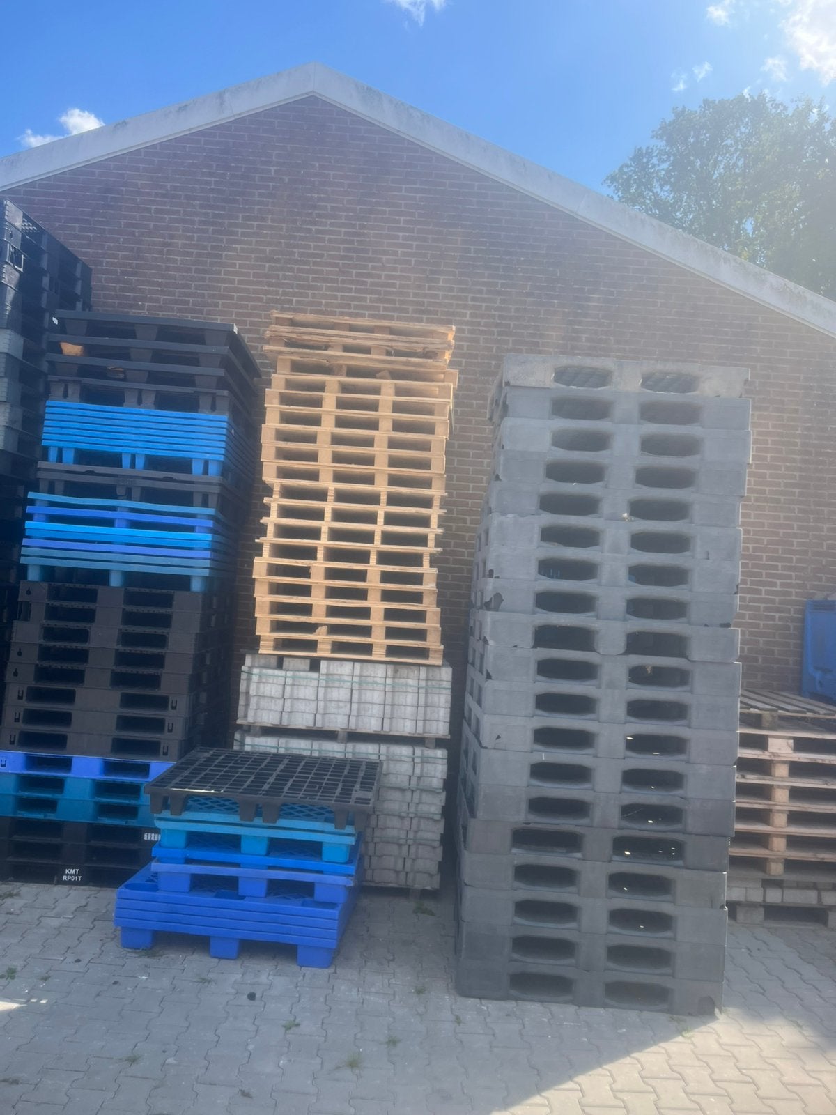 Zware kunststoffen/plastic pallets, Ophalen, Zo goed als nieuw, 50 mm of meer, Pallet