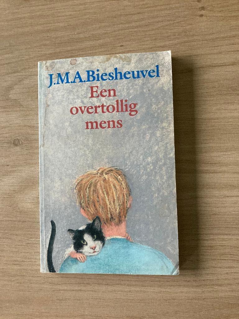 Boek J.M.A. Biesheuvel, Ophalen of Verzenden, Gelezen