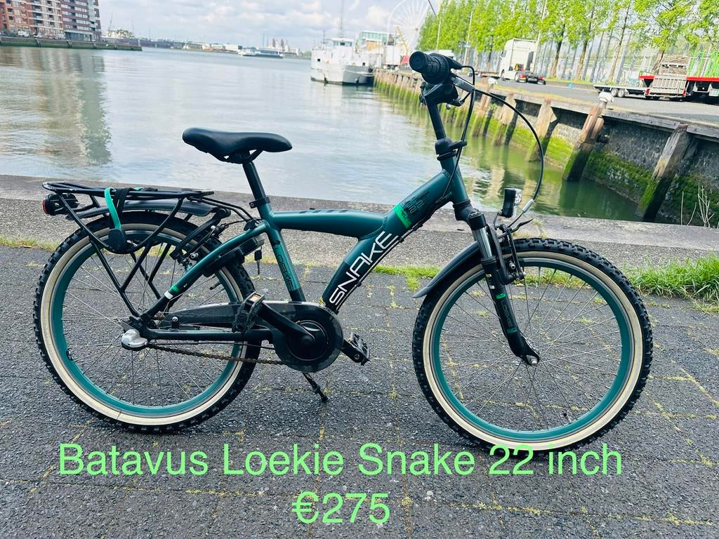 Jongensfietsen 16 18 20 22 24 26 28 inches Alpina Cortina, Ophalen, Terugtraprem, 24 inch, Versnellingen