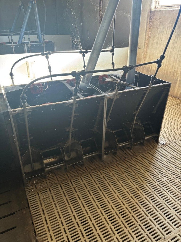 Voerbakken voor biggen met water [499], Boekhorst Trading, Tim@boekhorsttrading.com, Singel 16, Horssen