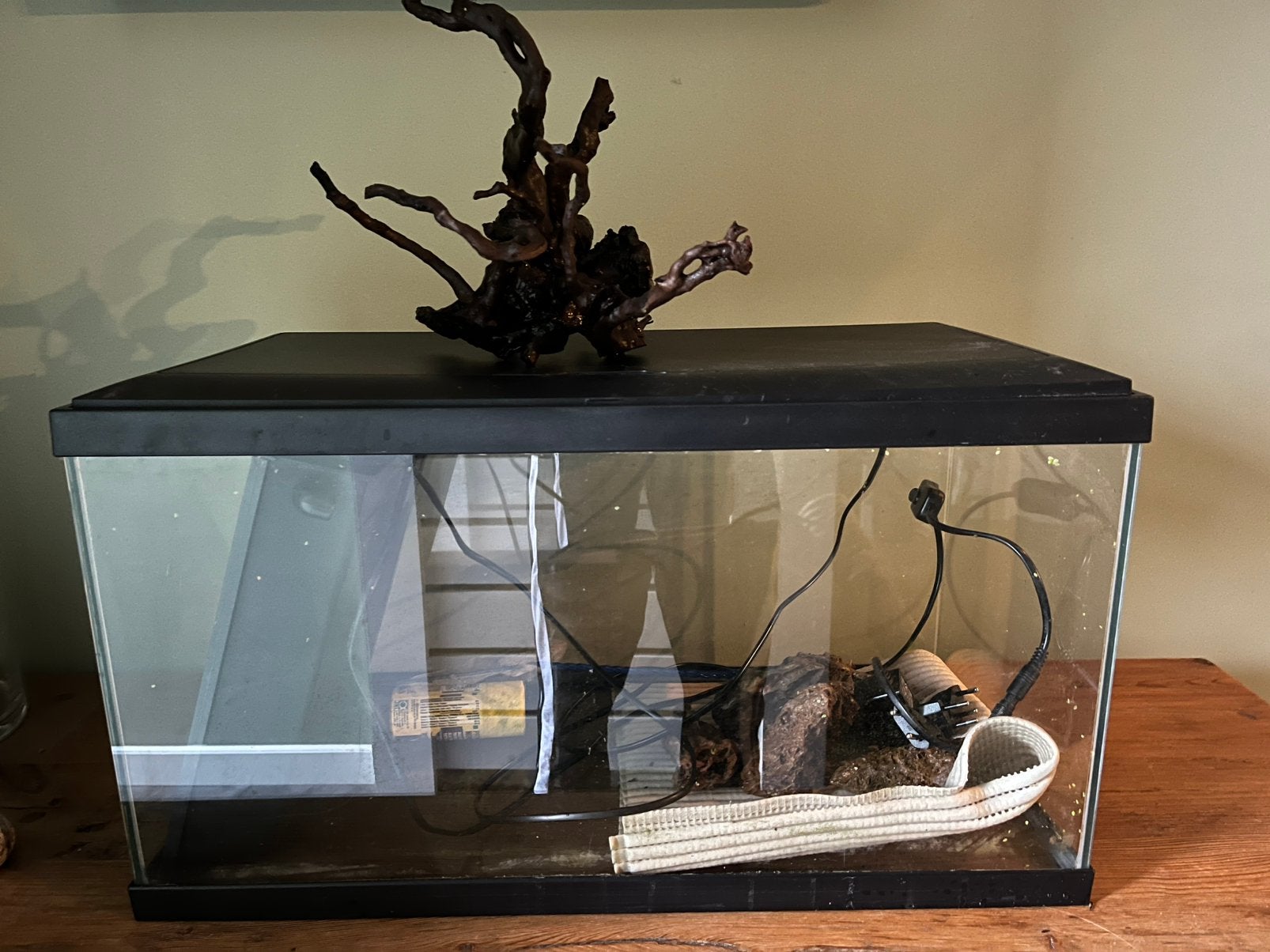 Aquarium 60 liter, Dieren en Toebehoren, Vissen | Aquaria en Toebehoren, Ophalen, Gebruikt, Leeg aquarium