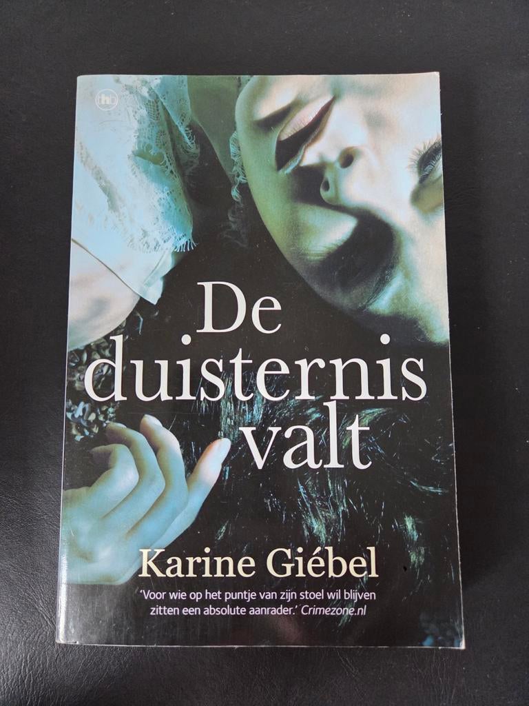 De duisternis valt - Karine Giébel, Ophalen of Verzenden