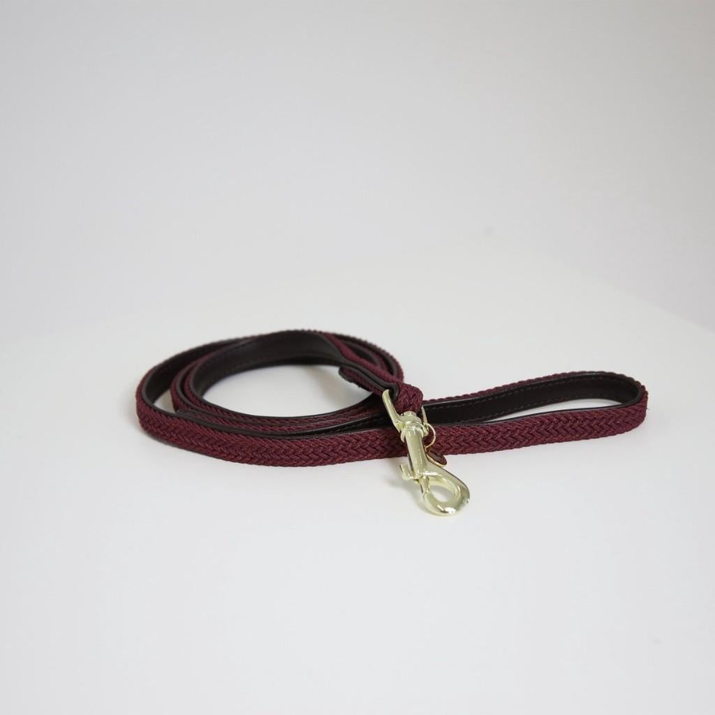 KENTUCKY Gevlochten Hondenlijn Nylon Rood 1,5x120 cm KOOPJE!, Ophalen of Verzenden, Nieuw, Hondenriem