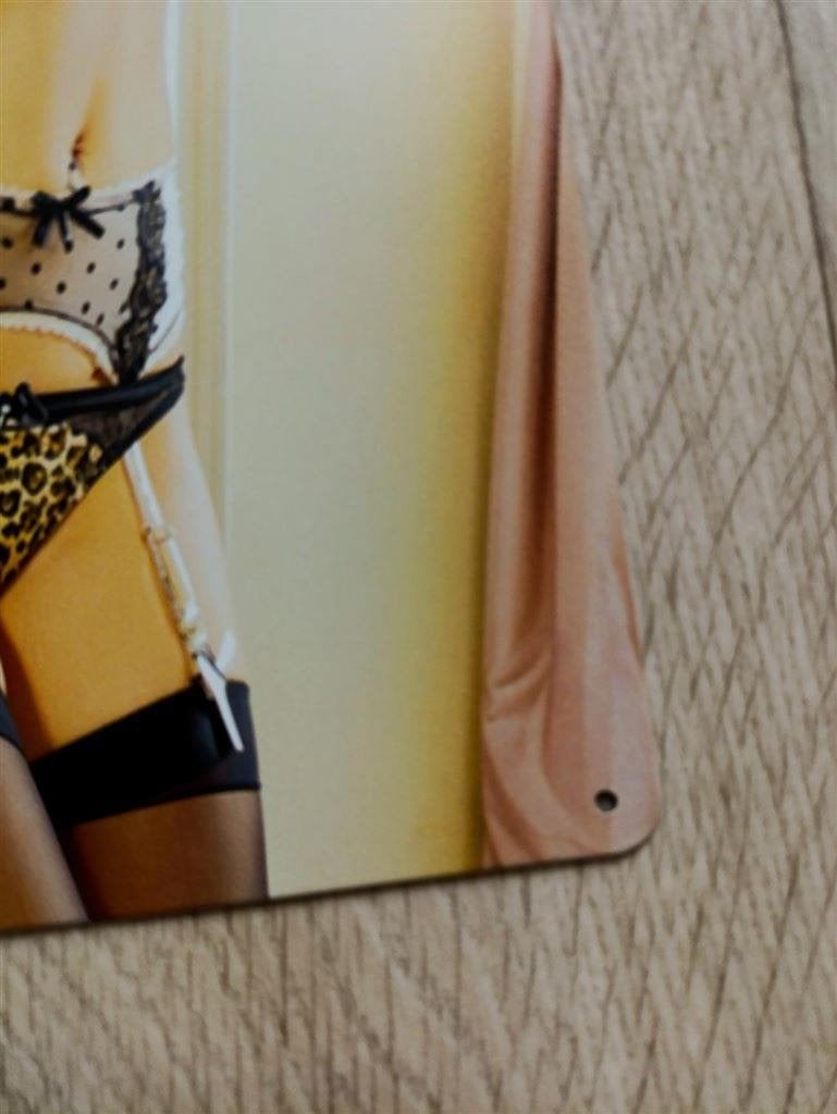 mancave Pin Up Sexy Lingerie Metalen Wandbord mancave, Verzenden, Nieuw