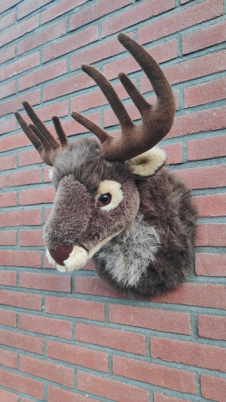 Pluche Eland Gewei Wanddecoratie - Zo goed als nieuw, Ophalen of Verzenden, Zo goed als nieuw, Hert, Gewei of Kop