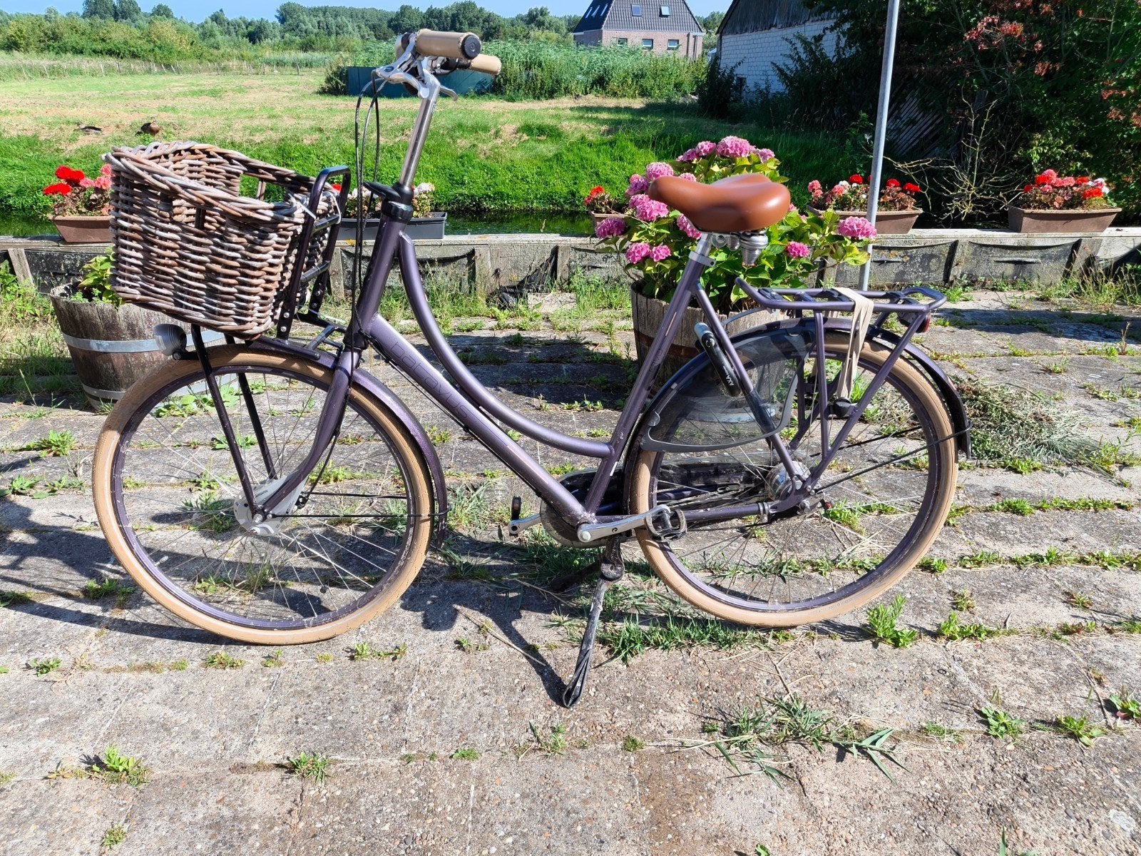 Batavus diva transportfiets, Ophalen, Gebruikt, Versnellingen, 56 cm of meer