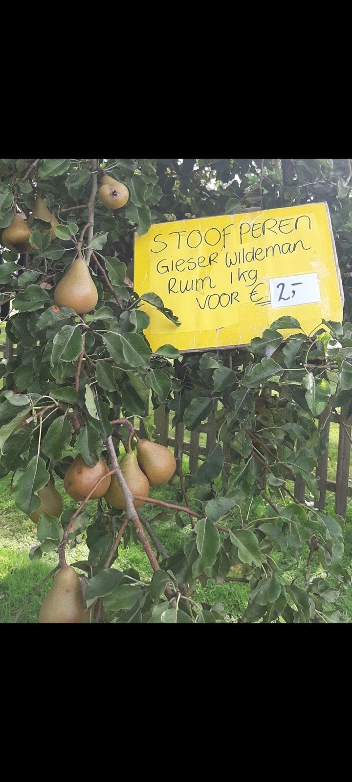 Vers geplukt GIESER WILDEMAN stoofperen, Ophalen