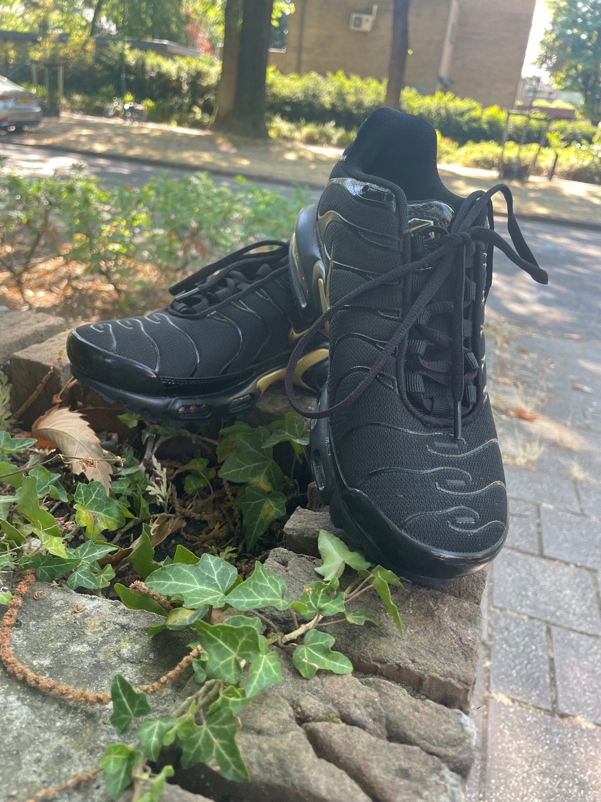 Nike Air Max Plus TN - Zwart/Goud maat 38, Kleding | Heren, Zwart, Nieuw, Ophalen of Verzenden, Sneakers of Gympen