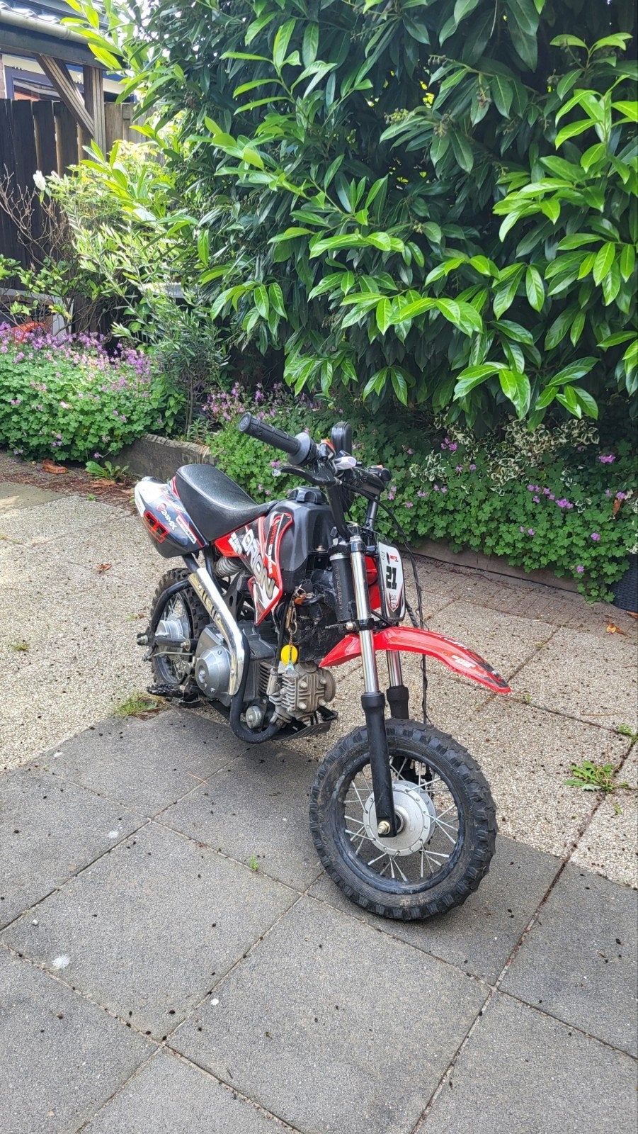 Pitbike 70cc opgevoerd (automaat), Ophalen of Verzenden, Pitbike