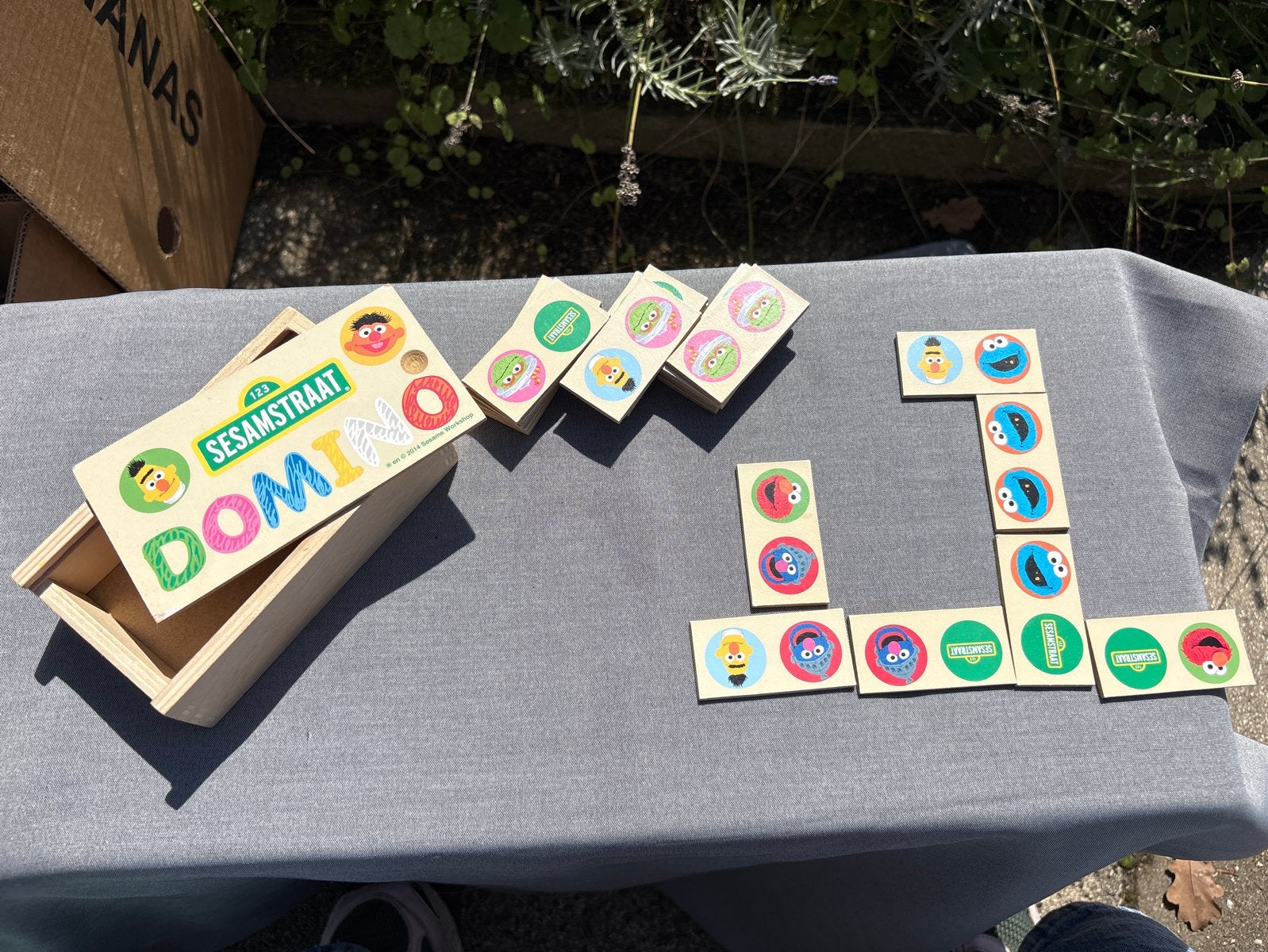 Sesamstraat Domino spel in houten kistje, Ophalen of Verzenden, Gebruikt, Jongen of Meisje