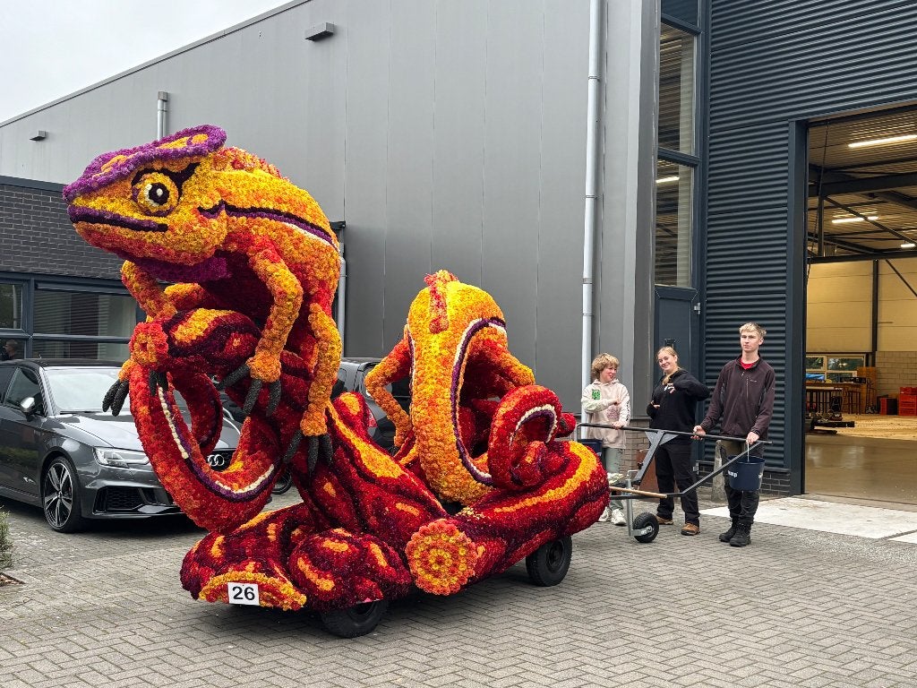 ===>Carnavalswagen corsowagen kameleons carnaval praalwagen, Hobby en Vrije tijd, Ophalen, Gebruikt, Feestartikel, Carnaval