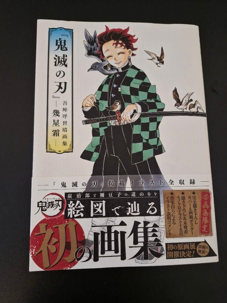 Demon Salyer artbook, Boeken, Eén comic, Ophalen of Verzenden, Zo goed als nieuw, Japan (Manga)