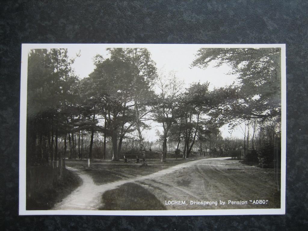 LOCHEM driesprong bij pension ADBO, Ophalen of Verzenden, 1940 tot 1960, Gelderland