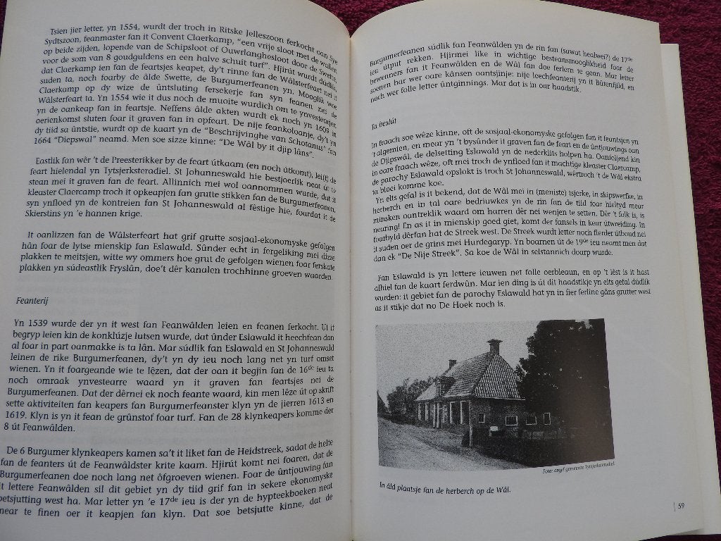 Skiednis fan Feanwâlden, de Wâl en Kûkherne - Veenwouden, Ophalen of Verzenden, Zo goed als nieuw