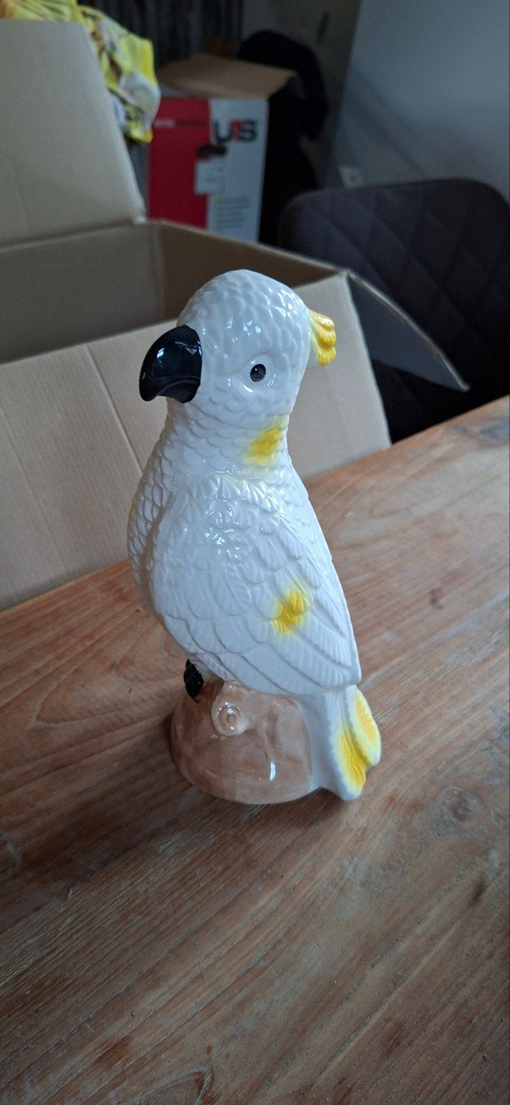 kaketoe, Ophalen of Verzenden, Nieuw, Dier