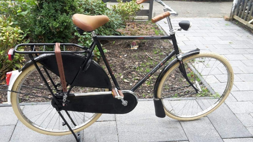 Foto 10 van gazelle tour populair